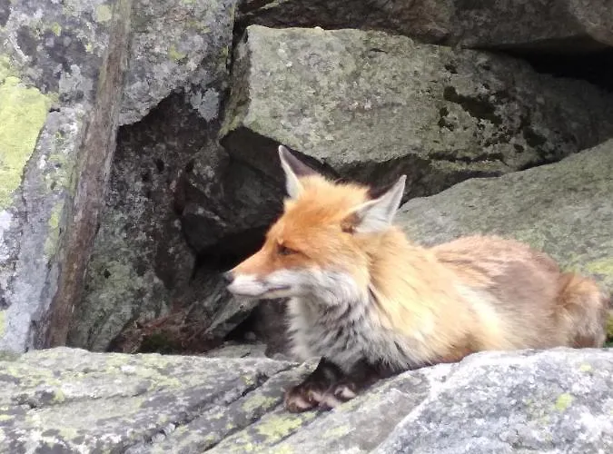 Pod Tatrami * Vel'ka Lomnica